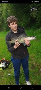 Zander