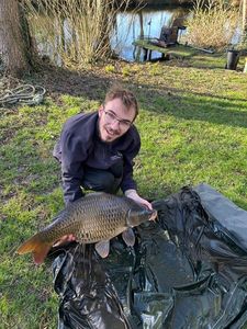 Common Carp