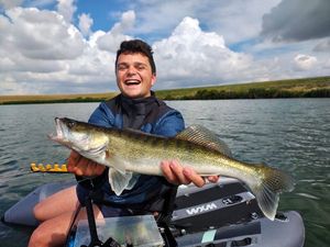 Zander
