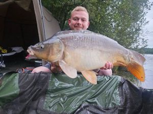 Mirror Carp