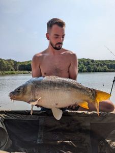 Mirror Carp