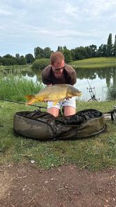 Common Carp