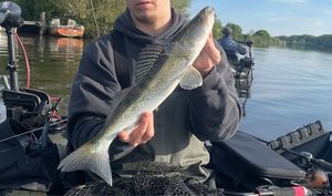 Zander