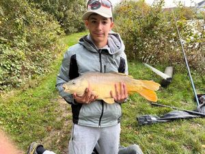 Mirror Carp