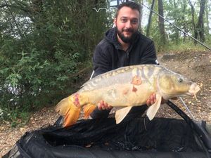 Mirror Carp