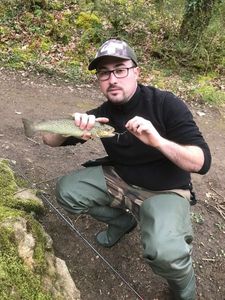 Brown Trout