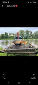 Mirror Carp