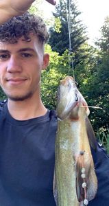 Tench