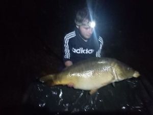 Mirror Carp