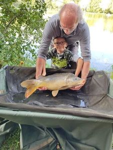 Mirror Carp