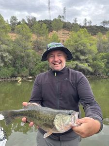 Largemouth Bass