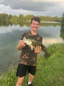 Largemouth Bass