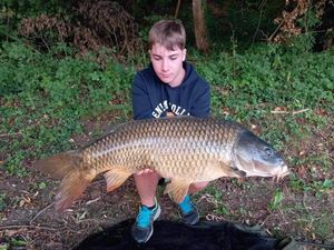 Common Carp