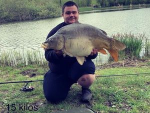 Mirror Carp