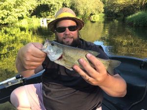 Largemouth Bass