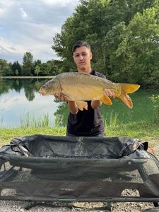 Mirror Carp