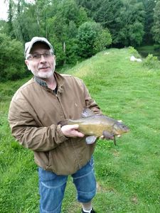 Tench