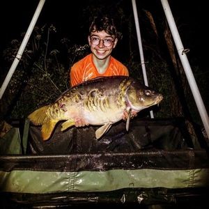 Mirror Carp