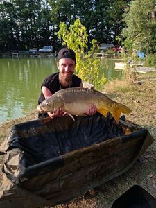 Mirror Carp