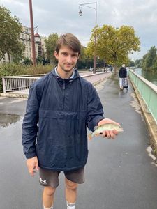 European Perch