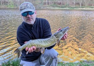 Northern Pike