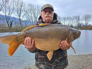 Mirror Carp