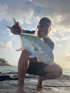 Crevalle Jack