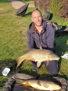 Common Carp