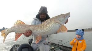 Northern Pike