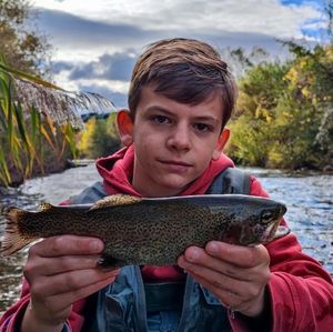Rainbow Trout