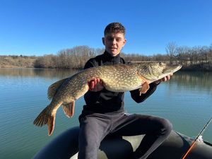 Northern Pike