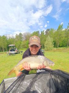 Mirror Carp