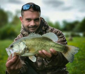 Largemouth Bass