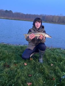 Northern Pike