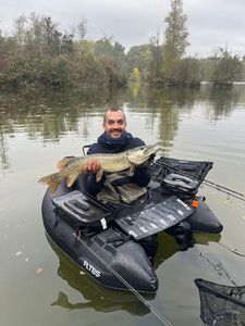 Northern Pike