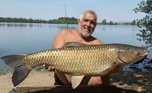 Grass Carp