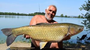 Grass Carp