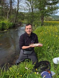 Brown Trout