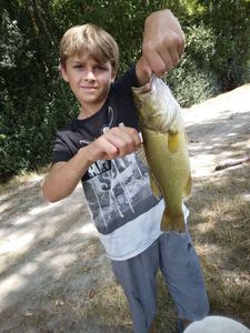 Largemouth Bass