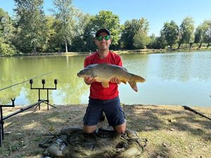 Common Carp