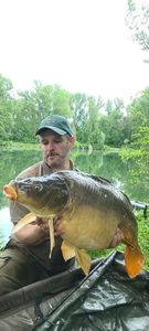 Mirror Carp