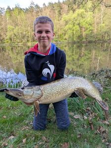 Northern Pike