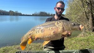 Mirror Carp