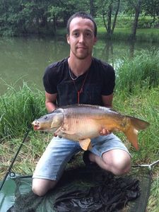 Mirror Carp