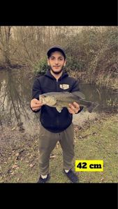 Largemouth Bass