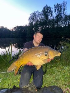 Mirror Carp