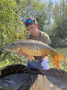 Leather Carp