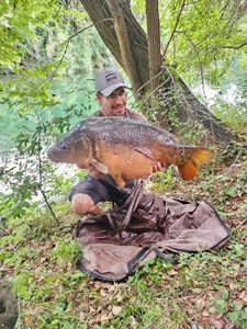 Mirror Carp