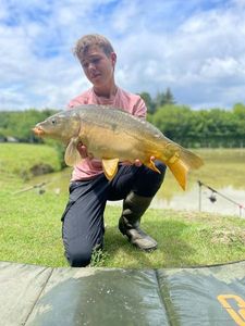 Mirror Carp