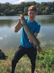 Northern Pike